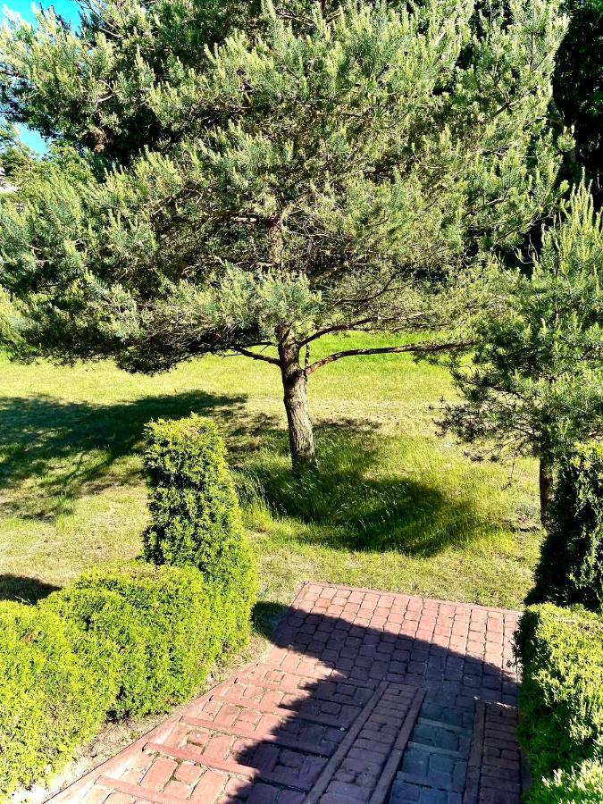 Domki Debina Villa Debina  Esterno foto